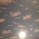 IMG_1176