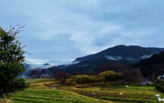IMG_3222