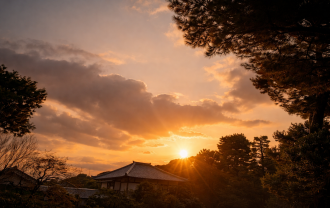 46F2FEE8-D3A7-4F93-BBE0-AE1D14D019AE