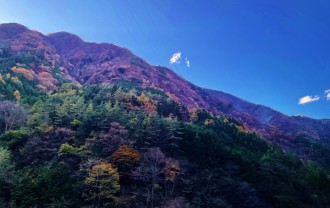 IMG_5169 (2)