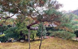 image_231003 (2)
