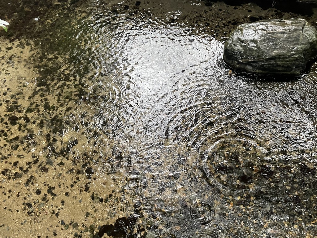 IMG_7250