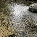 IMG_7250