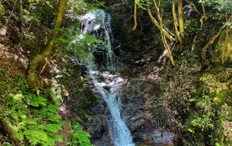 eniIMG_4459