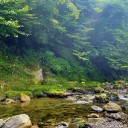 image_123650291 (3)
