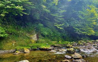 image_123650291 (3)