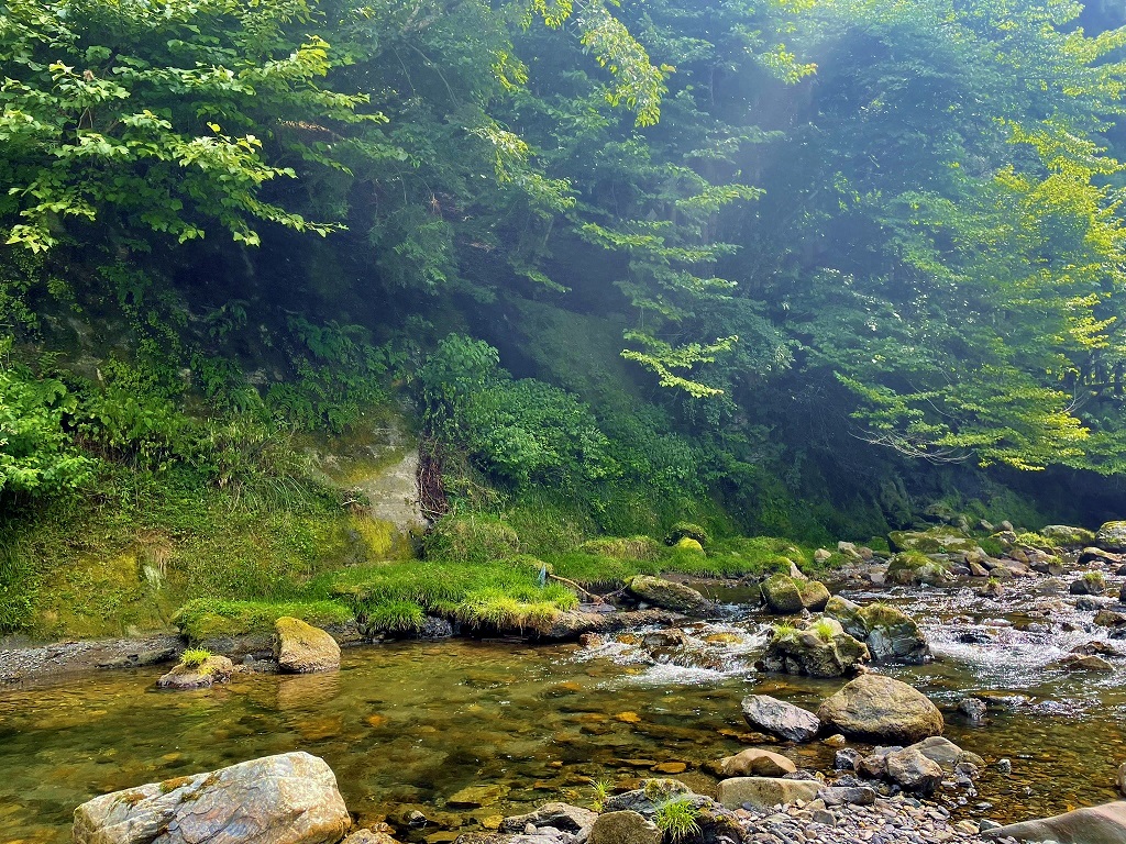 image_123650291 (3)