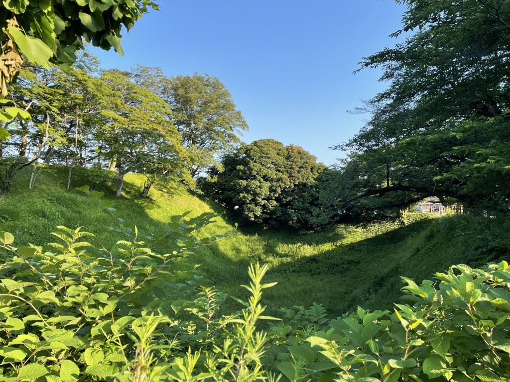 IMG_0140