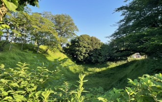 IMG_0140