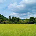 IMG_4962 (2)