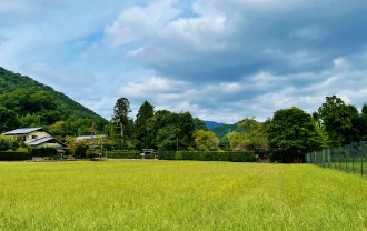 IMG_4962 (2)