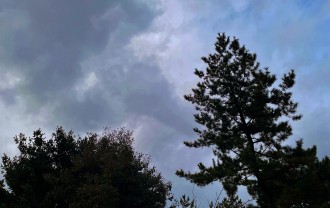 IMG_5263 (2)