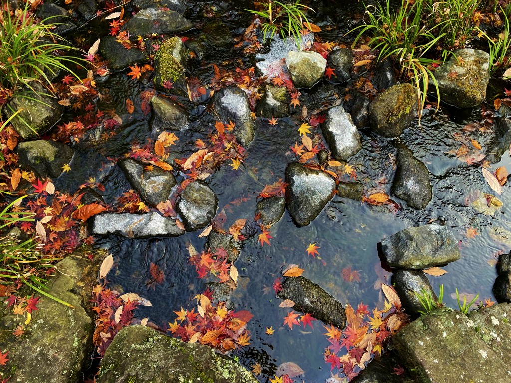image_231201 (2)