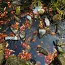 image_231201 (2)