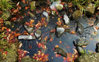 image_231201 (2)