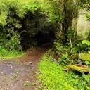 IMG_4351 (2)